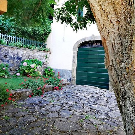 Villa Gioia Montelaterone Exterior foto